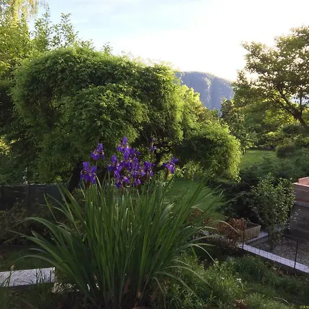 Gelsomina Holiday home Verbania